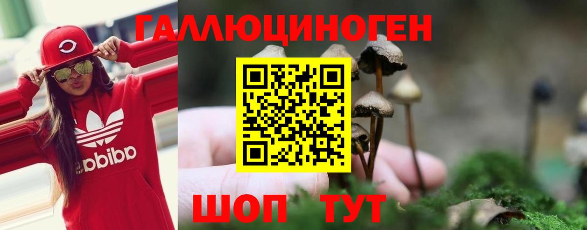 Галлюциногенные грибы Psilocybe Альметьевск